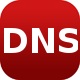 Domain Dns Health Check Script